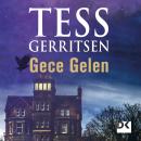 Gece Gelen Audiobook