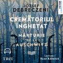 [Romanian] - Crematoriul înghețat: mărturie de la Auschwitz Audiobook