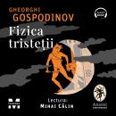 [Romanian] - Fizica tristeții Audiobook