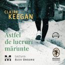 [Romanian] - Astfel de lucruri mărunte Audiobook
