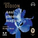 [Romanian] - Anul gândirii magice Audiobook