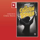 [Spanish] - La canción de la bruja Audiobook