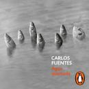 [Spanish] - Agua quemada Audiobook