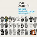 [Spanish] - Se está haciendo tarde (final en laguna) Audiobook