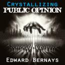 Crystallizing Public Opinion Audiobook