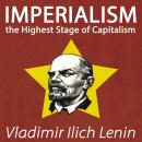 Imperialism the Highest Stage of Capitalism Audiobook