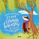 [Polish] - O czym szumią wierzby Audiobook