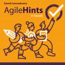 AgileHints - część 1. - Twarde aspekty pracy zwinnej Audiobook