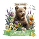 Where Did Lady Spring Go? Audiobook