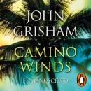 [Spanish] - Camino Winds. El manuscrito (Camino Island 2) Audiobook