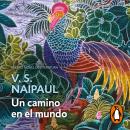 [Spanish] - Un camino en el mundo Audiobook