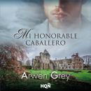 [Spanish] - Mi honorable caballero Audiobook