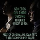 [Spanish] - Sonetos del amor oscuro: Música original y poesía Audiobook
