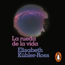 [Spanish] - La rueda de la vida: Solo haciendo lo que de verdad os importa, podréis bendecir la vida Audiobook