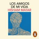 [Spanish] - Los amigos de mi vida Audiobook
