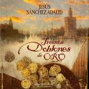 [Spanish] - Treinta doblones de oro. Novela galardonada con el III Premio Literario Troa 'Libros con valores'. Audiobook