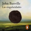[Spanish] - Las singularidades Audiobook