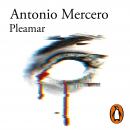 Pleamar Audiobook