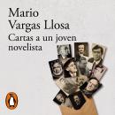 Cartas a un joven novelista Audiobook