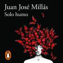 [Spanish] - Solo humo Audiobook