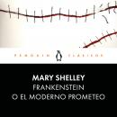 Frankenstein o el moderno Prometeo Audiobook