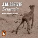[Spanish] - Desgracia Audiobook