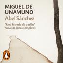 [Spanish] - Abel Sánchez (Novelas poco ejemplares 2): Una historia de pasión Audiobook