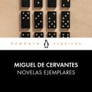 [Spanish] - Novelas ejemplares Audiobook