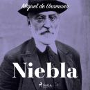 [Spanish] - Niebla Audiobook