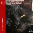 El gato negro Audiobook
