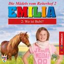 Emilia - Die Mädels vom Reiterhof, 2: Wo ist Bubi? (Ungekürzt) Audiobook