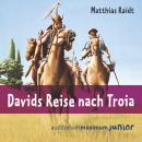 Davids Reise nach Troia (Ungekürzt) Audiobook