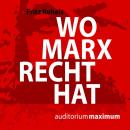 Wo Marx Recht hat (Ungekürzt) Audiobook