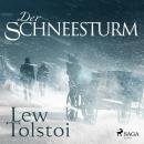 [German] - Der Schneesturm (Ungekürzt) Audiobook