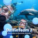 DelfinTeam 2 - Verschollen im Bermuda-Dreieck Audiobook