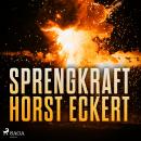 [German] - Sprengkraft (Ungekürzt) Audiobook