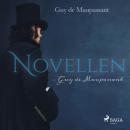 [German] - Novellen (Ungekürzt) Audiobook
