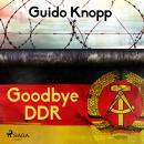 Goodbye DDR Audiobook