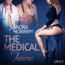 The Medical Interns - erotic short story Audiobook