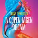 A Copenhagen Dream - erotic short story Audiobook