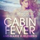 Cabin Fever 4: Painting a Picture Audiobook