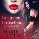 Im geilen Gruselhaus: Erotische Novelle Audiobook