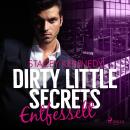 Dirty Little Secrets - Entfesselt (CEO-Romance 3) Audiobook