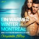 Ein warmer Winter in Montreal - Eine erotische Kurzgeschichte Audiobook