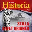 [Swedish] - Stilla havet brinner Audiobook
