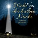[German] - Wohl zu der halben Nacht Audiobook