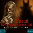 [German] - Faust - Der Tragödie erster Teil Audiobook