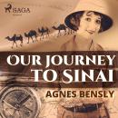Our Journey to Sinai Audiobook
