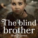 The Blind Brother Audiobook