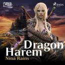 Dragon Harem Audiobook